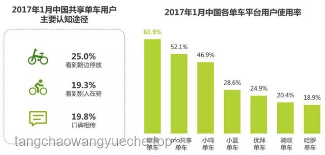 不打码，全程高能：互联网内容监管与用户体验的深度剖析